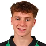 Besian Kutleshi