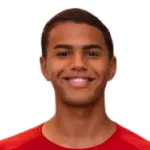 Joao Gabriel E. Costa Cesco