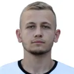 martin milushev