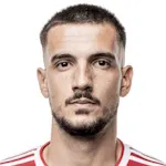 Vladimir Arsic