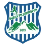 Bursa Yildirimspor