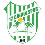 12 Bingolspor