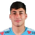 Matías Meneses