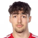 hannes forsgard