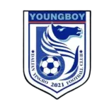 Dalian Yingbo B.