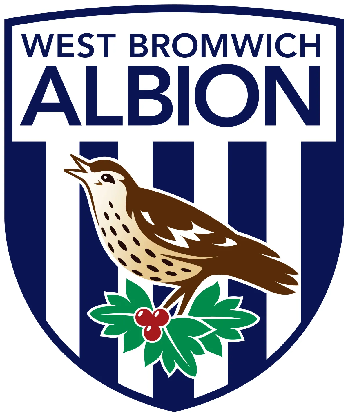  West Bromwich Albion