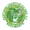 Panthère