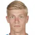 Zian Flemming