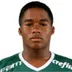 Endrick Felipe Moreira de Sousa