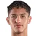 Warren Madrigal