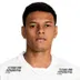 Tailson Pinto Goncalves