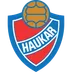 Haukar
