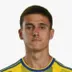 Dominik Vesely