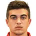 Aleksandar Mesarovic