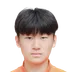 Chen Zihan