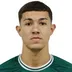 Vitor Hugo da Silva Goncalves
