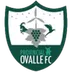 Provincial Ovalle