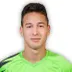 Jovan Mitrovic