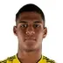 Jose Caicedo