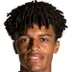 Brooklyn Lyons-Foster