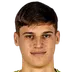 Niko Sepić