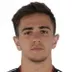 Felipe Pena Biafore
