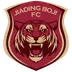 Ningbo Professional Football Club