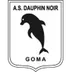 Dauphins Noirs