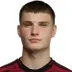 Roman Horak