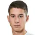 Dario Grgic