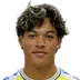 Francis Castillo-Orellana