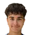 Denis Sahin