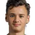 Kerim Alajbegovic