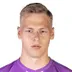 Lukas Hornicek
