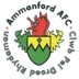 Ammanford AFC