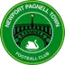 Newport Pagnell Town