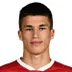 Milan Majstorovic