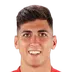 Raul Torrente Navarro