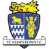 St Neots Town