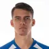 Marko Regza