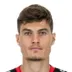 Patrik Schick