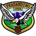 Trasandino