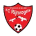 Rijnvogels