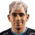 Enzo Fernandez