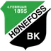 Hønefoss