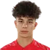 David Mario Irimia
