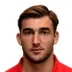 Luka Malesevic