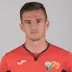 Tomaz Stopajnik