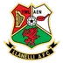 llanelli AFC