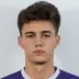 Nikola Mituljikic